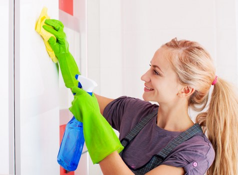 Professional pet stain odour removal in Petts Wood on carpet