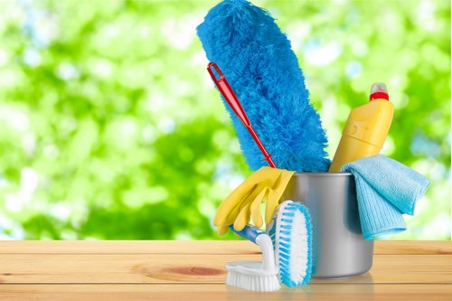 Professional carpet cleaner in Petts Wood inspecting a living room carpet
