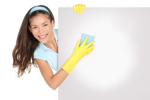 Deep treatment for pet odour removal in a local home