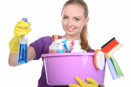 Clean and refreshed living room sofa after professional cleaning
