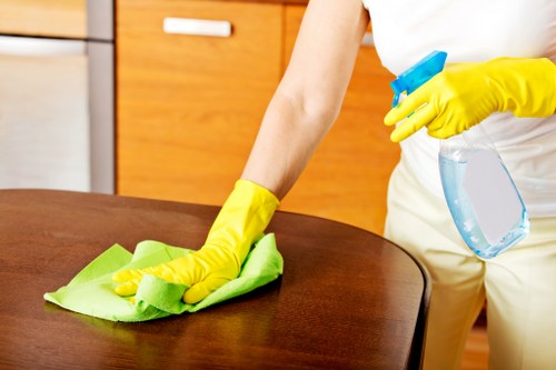 Petts Wood carpet cleaner working carefully on upholstery and flooring